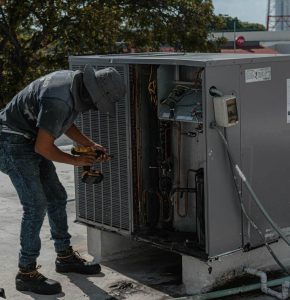 pexels-jose-andres-pacheco-cortes-3641213-5463587